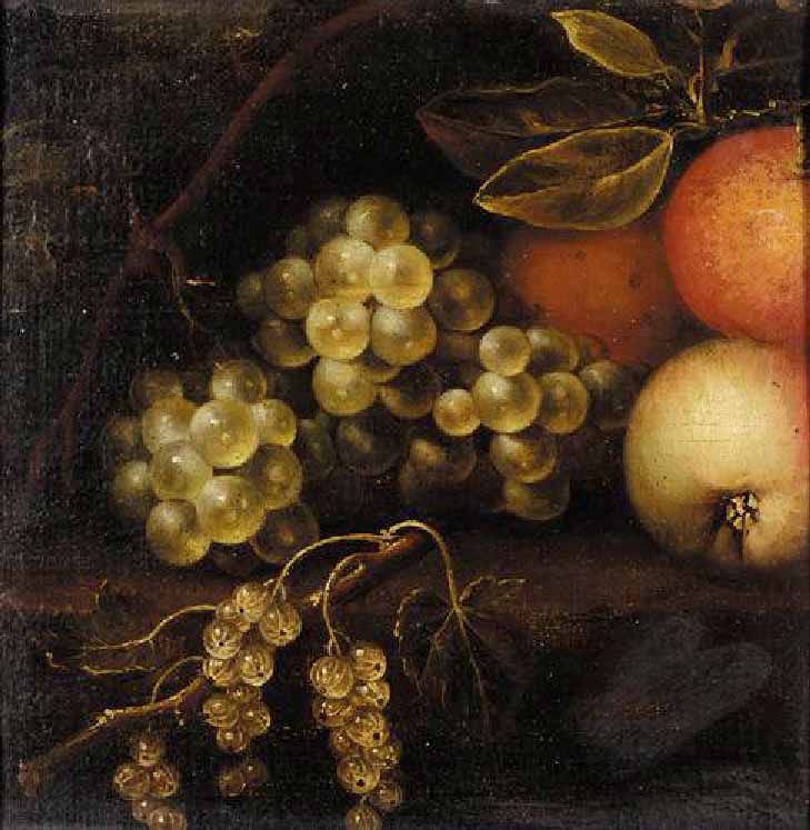 Still life of fruits